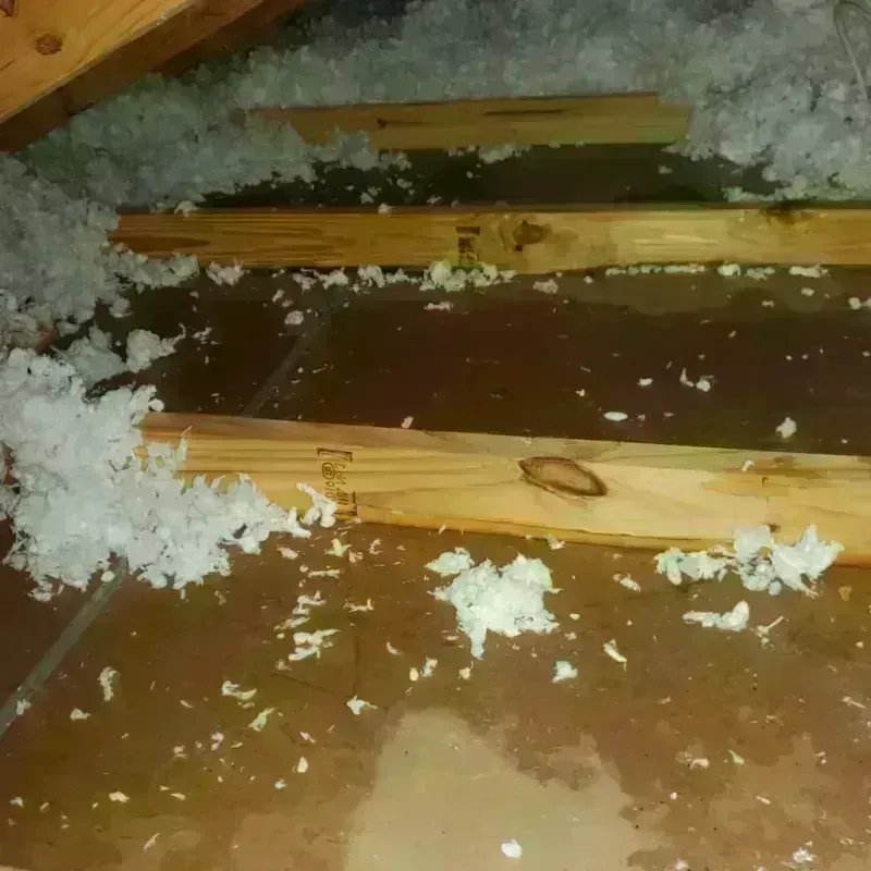 Attic Water Damage in Southmayd, TX