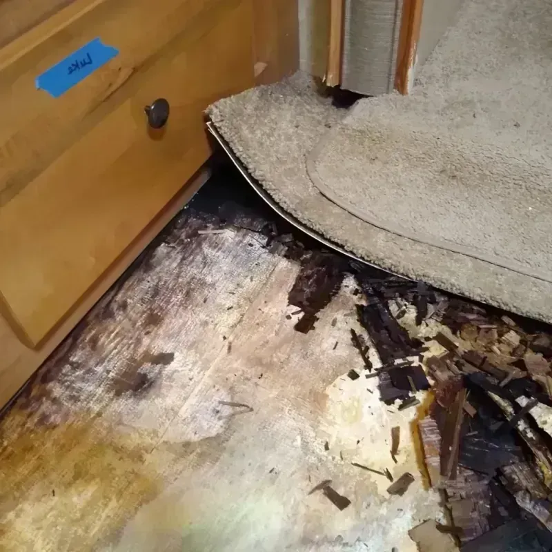 Wood Floor Water Damage in Southmayd, TX